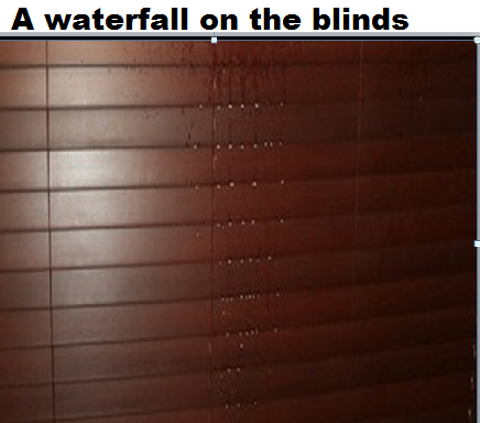 blinds