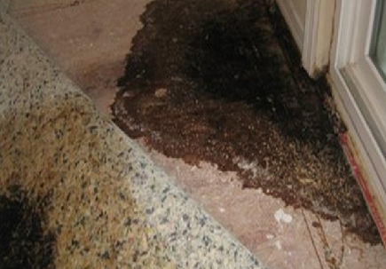 floormold